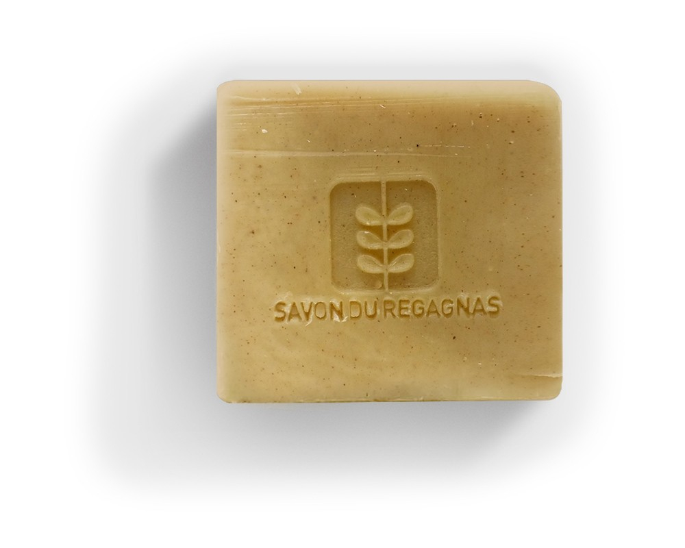 Savon Shampooing 2-en-1...